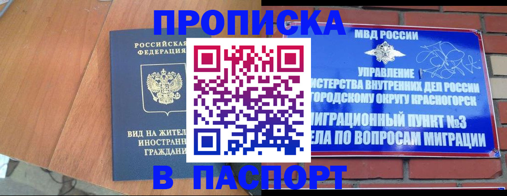 найти адрес прописки в Раменском